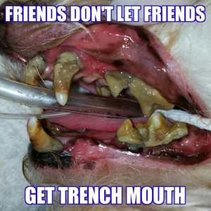 teeth terrible