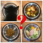 What's in the bowl?  A guide to the confusing world of pet food choices!