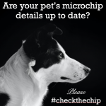 Are your pet's microchip details up to date?