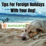 Top Tips For Foreign Holidays With Your Dog!