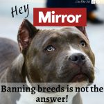 Banning Dog Breeds Is Never The Answer!