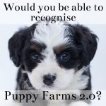 Would You Be Able To Recognise Puppy Farms 2.0